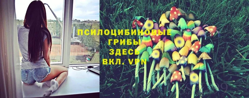 Галлюциногенные грибы MAGIC MUSHROOMS  Катав-Ивановск 